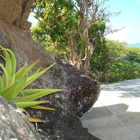 Treehouse Cottage Five Islands Village Εξωτερικό φωτογραφία